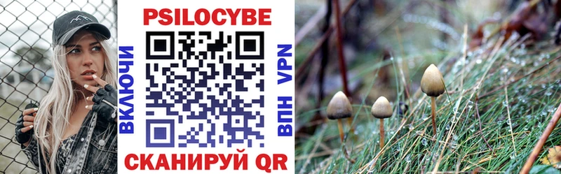 Псилоцибиновые грибы Psilocybine cubensis  Тобольск 